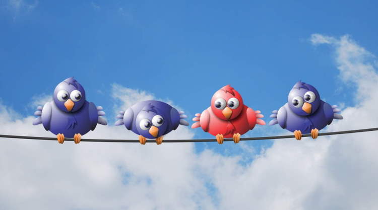 Everyone is perfect is a feature of uniqueness - four birds sitting on a line, three are blue and one of them is red.