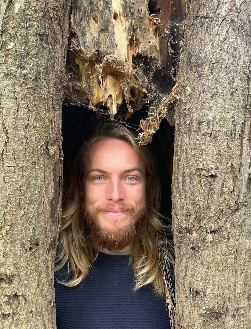A person inside a hollowed-out tree trunk.